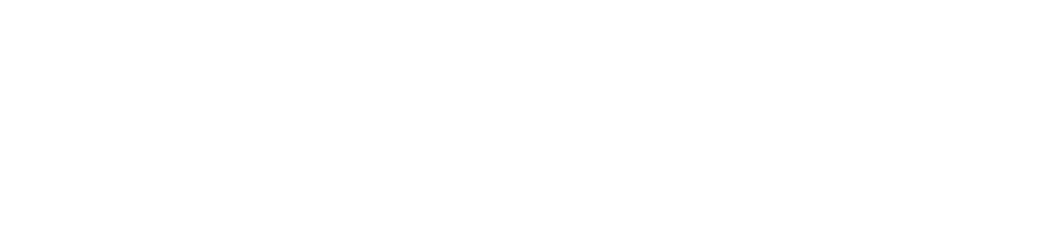 New Zealand Government Logo